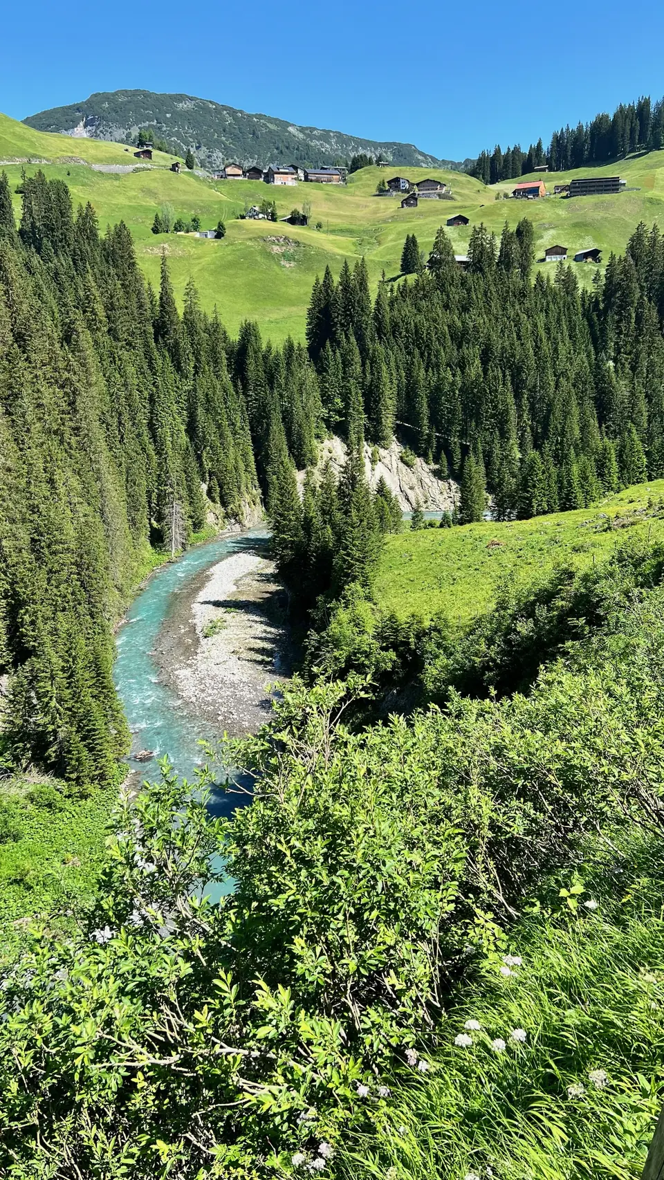 Türkisfarbener Fluss unter bewaldeten grünen Hängen